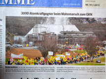 b_215_215_16777215_0_0_images_stories_akt13_130309-demo-fukushima_presse_presse.jpg