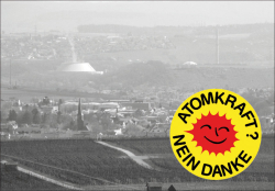 Weiterlesen: Atomausstieg sofort!